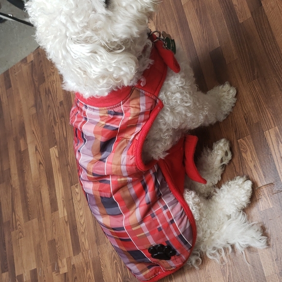 Bailey & Bella doggy Coat size S/M - Picture 3 of 13